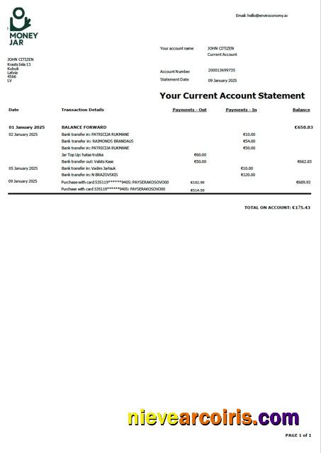 Latvia Money Jar account statement Word and PDF